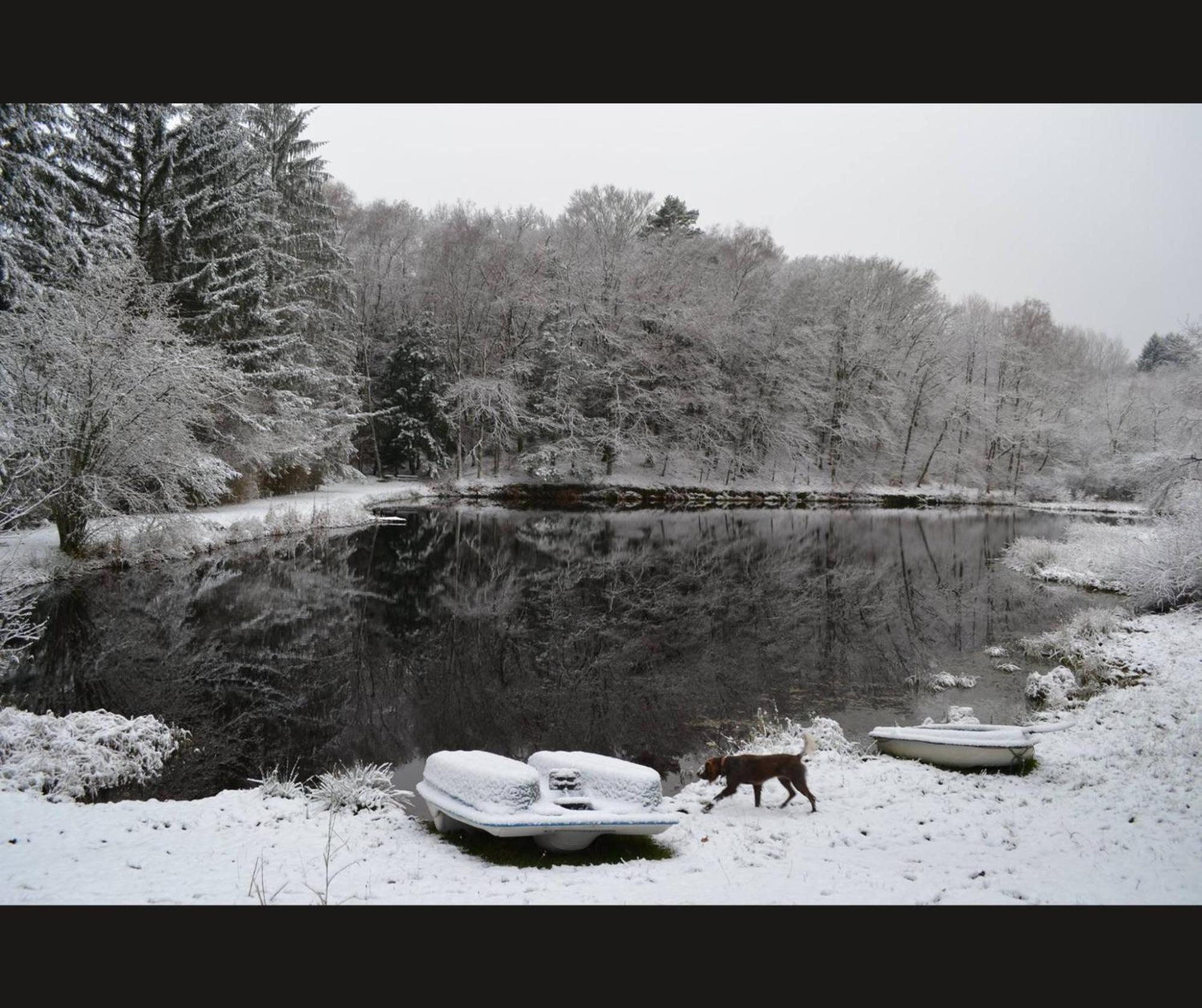 Cabane Limousine Au Bord D'Un Etang Bonnac-la-Côte 外观 照片
